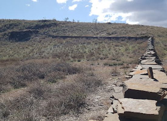 australia/flinders-ranges/landmark/wills-historic-homestead