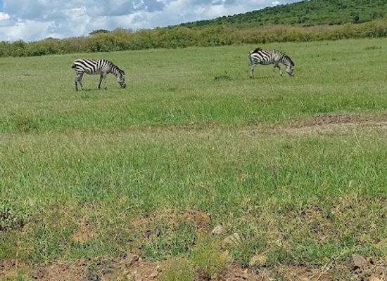 kenya/nairobi/landmark/chania-hikes