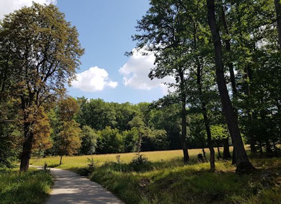 austria/vienna-woods/landmark/lainzer-tiergarten