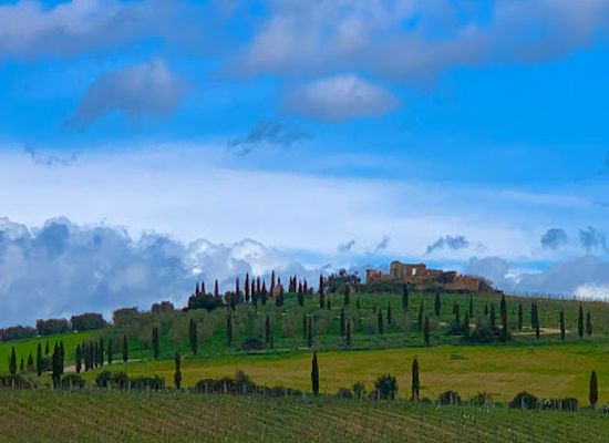 italy/val-d-orcia/landmark/col-d-orcia-brunello-di-montalcino