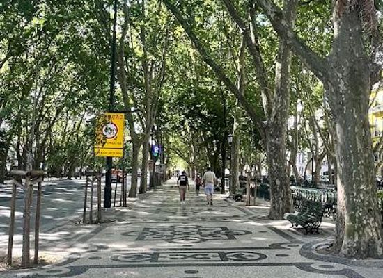 portugal/estremadura/landmark/av-da-liberdade