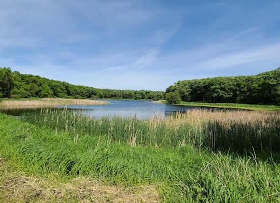 minnesota/southwestern-minnesota/landmark/lake-shetek-state-park