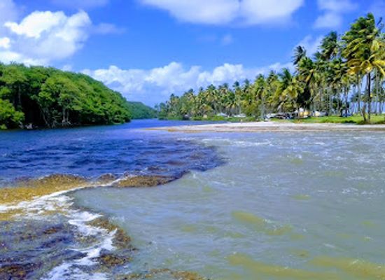 trinidad-and-tobago/mayaro/landmark/nariva-swamp