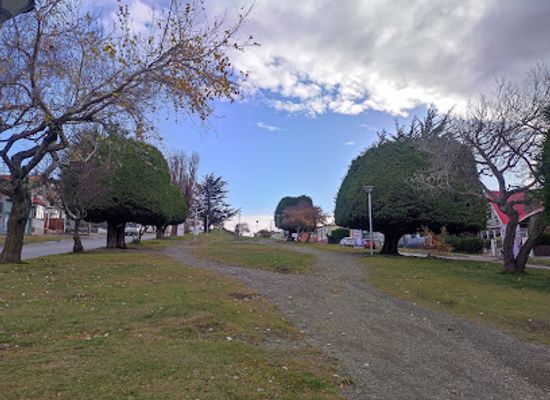 chile/punta-arenas/landmark/arbol-presidencial