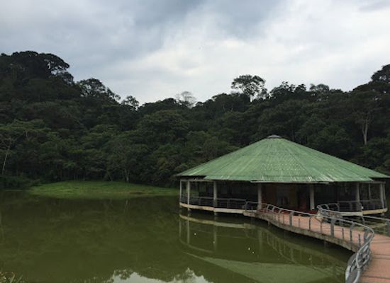 colombia/putumayo/landmark/mariposario-paway