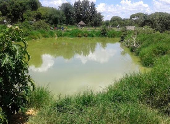zambia/kafue-flats/landmark/kalimba-reptile-park
