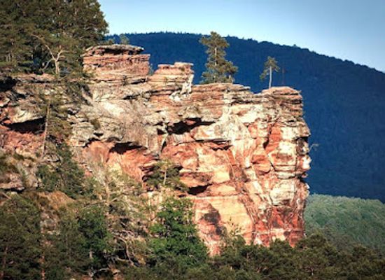germany/upper-palatinate/landmark/palatinate-forest