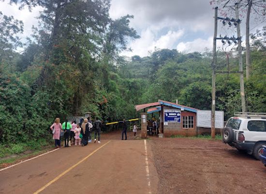 kenya/nairobi/landmark/the-oloolua-nature-trail