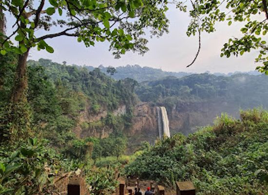 cameroon/coastal-region/landmark/ekom-nkam-waterfalls