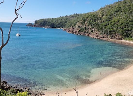australia/whitsunday-islands/landmark/blue-pearl-bay-1-hayman-island-qld