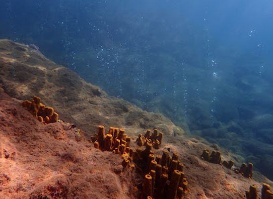 dominica/saint-andrew/landmark/champagne-reef-dominica