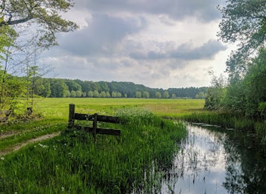 netherlands/overijssel/landmark/den-aalshorst