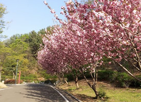 south-korea/pohang/landmark/daewonsa