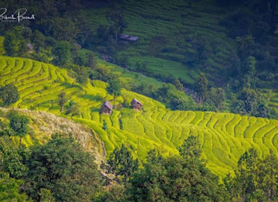 nepal/kathmandu-valley/landmark/natural-history-museum