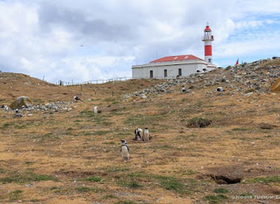 chile/central-valley/landmark/los-pinguinos-natural-monument