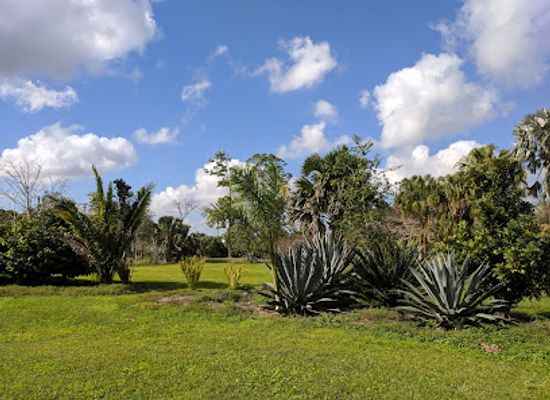 florida/sun-coast/landmark/flamingo-gardens