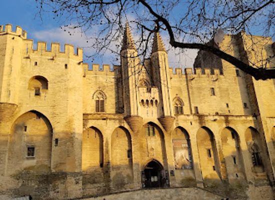 france/avignon/avignon-old-town/landmark/palais-du-roure