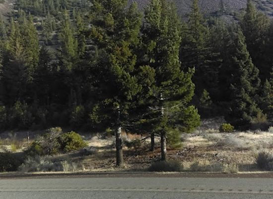 california/shasta-cascade/landmark/shasta-abbey