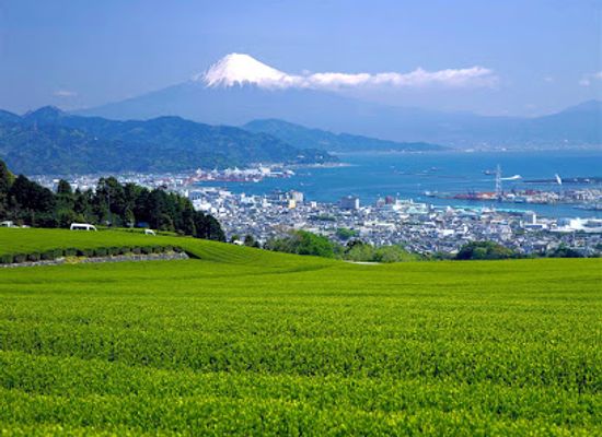 japan/suruga/landmark/suruga-marketing-tourism-bureau