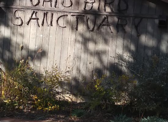ohio/mansfield/landmark/ohio-bird-sanctuary