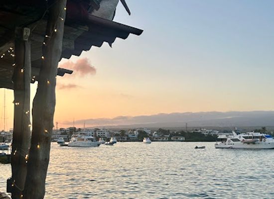 ecuador/puerto-ayora/landmark/the-point