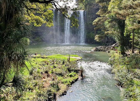 new-zealand/northland/landmark/whangarei-falls