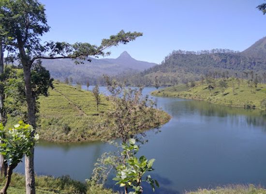 sri-lanka/adam-s-peak/landmark/adam-s-peak-view-point-maskeliya