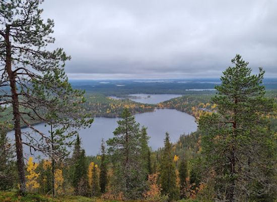 finland/karhunkierros-trail/landmark/porontimajoki-open-wilderness-hut