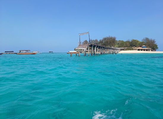 tanzania/zanzibar-island/landmark/changu-island