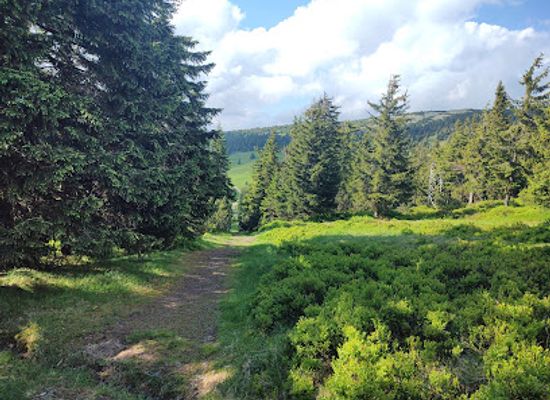 czechia/krkonose-national-park/landmark/krkonossky-pohadkovy-betlem