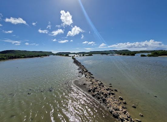 curacao/boca-hulu/landmark/flamingos