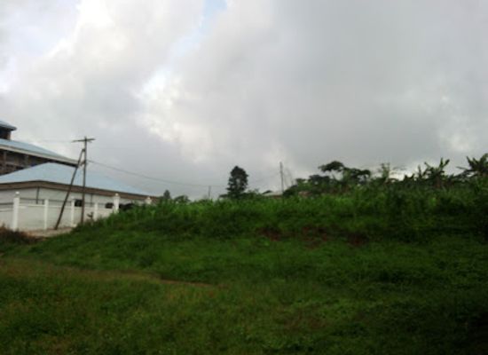 cameroon/forest-region/landmark/bakossi-mountains