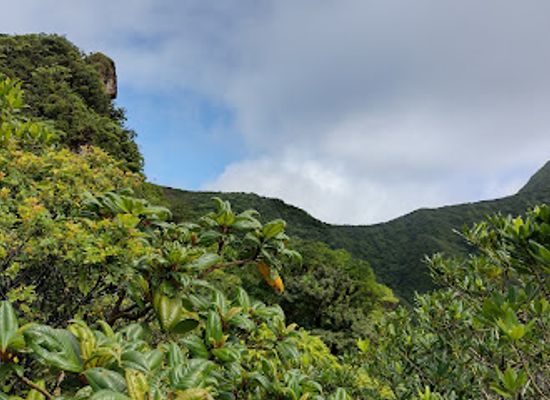 saint-kitts-and-nevis/mount-liamuiga/landmark/mount-liamuiga-trailhead