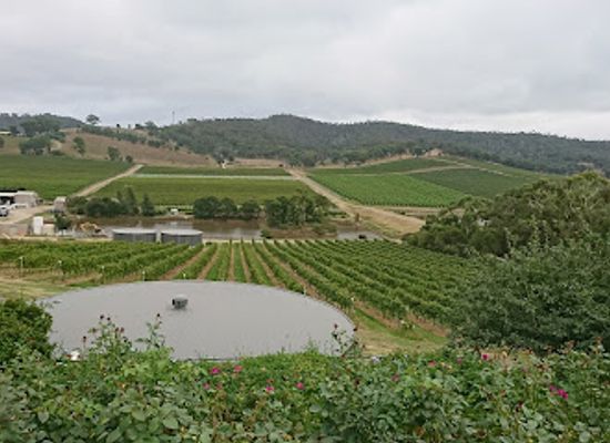 australia/yarra-valley/landmark/locale-restaurant-at-de-bortoli-yarra-valley