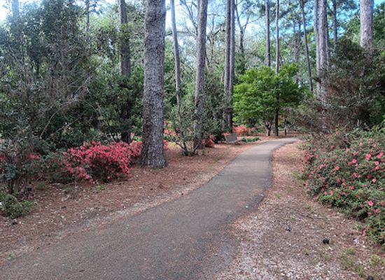 texas/piney-woods/landmark/ruby-m-mize-azalea-garden
