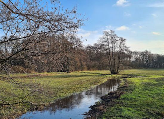 netherlands/drenthe/landmark/nationaal-beek-en-esdorpenlandschap-drentsche-aa
