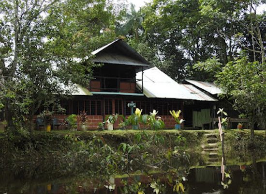 colombia/guaviare-department/landmark/ecolodge-naturlog-playa-guio