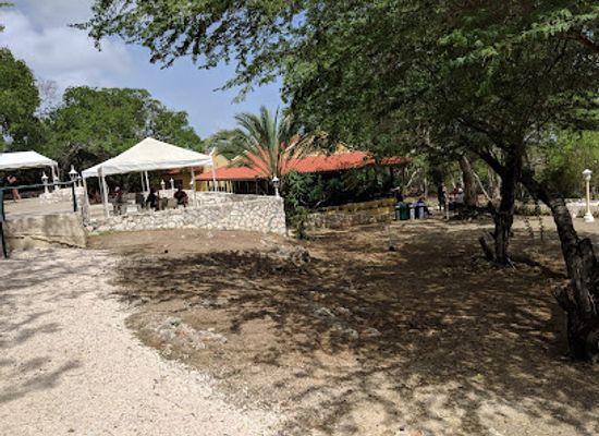 curacao/playa-cas-abou/landmark/hato-caves