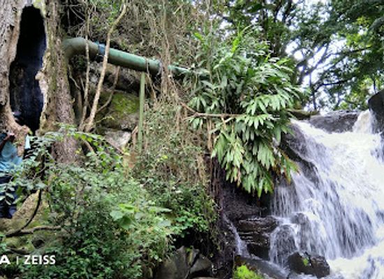kenya/nairobi/karen/landmark/the-oloolua-nature-trail