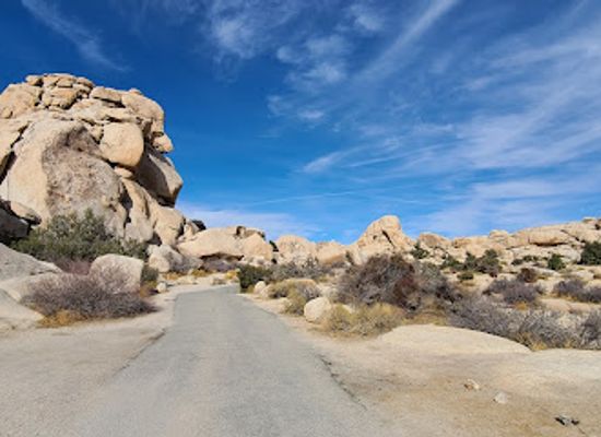 california/joshua-tree-national-park/landmark/joshua-tree-friendly-hills-park