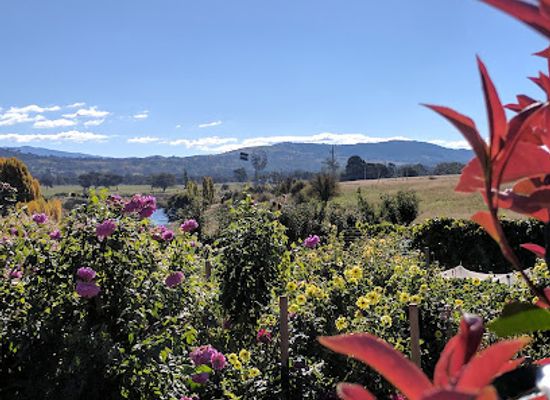 australia/high-country/landmark/lanyon-homestead
