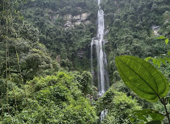 colombia/insular-region/landmark/cascada-la-chorrera