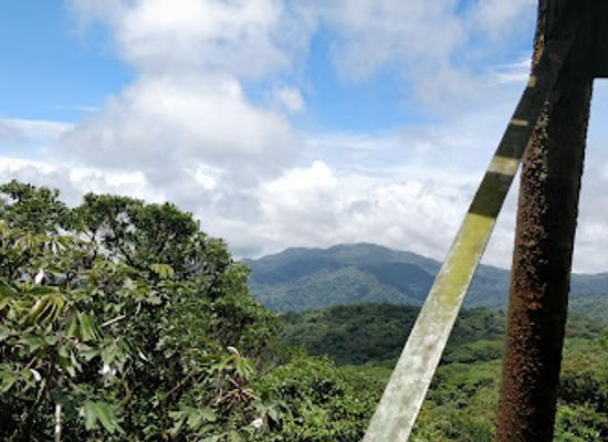 costa-rica/monteverde/landmark/la-reserva-bosque-nuboso-santa-elena