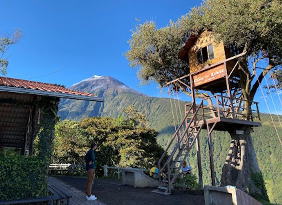 ecuador/northwest-coast/landmark/la-casa-del-arbol
