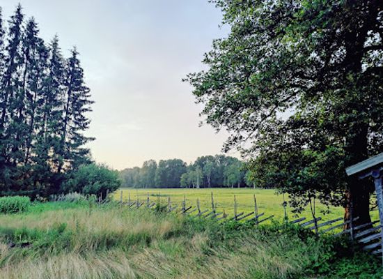 estonia/soomaa-national-park/landmark/rmk-soomaa-rahvuspargi-kulastuskeskus