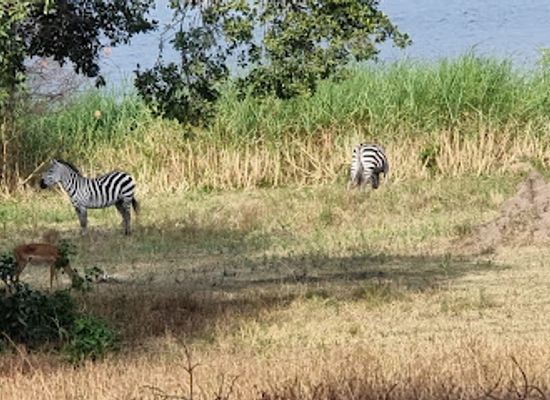 tanzania/lake-zone/landmark/saanane-national-park
