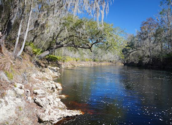 florida/suwannee-river/landmark/big-shoals-wildlife-management-area-zone-b