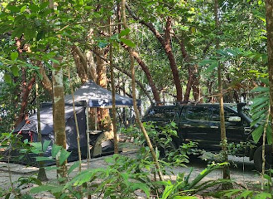 australia/daintree-rainforest/landmark/noah-beach-camping-area-daintree-national-park