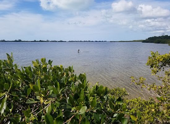 florida/big-bend/landmark/lemon-bay-park-environmental-center