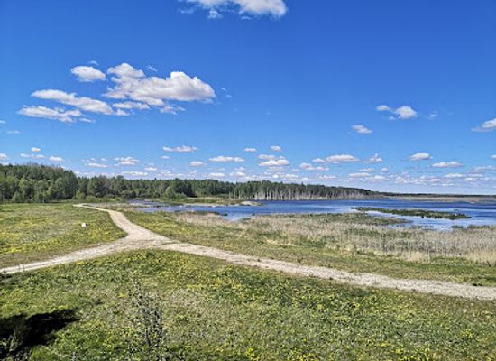 finland/satakunta/landmark/puurijarvi-isosuo-national-park